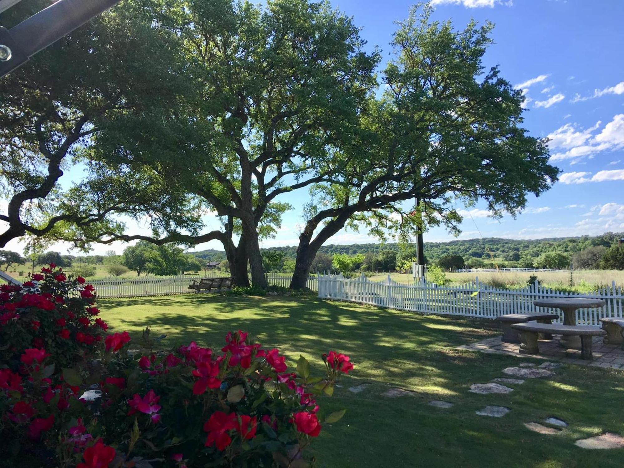 The Alexander At Creek Road Hotel Dripping Springs Luaran gambar